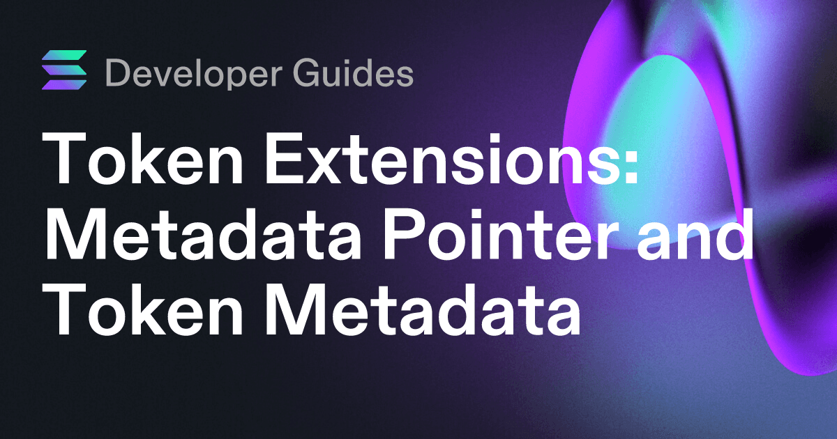 How to use the Metadata Pointer extension